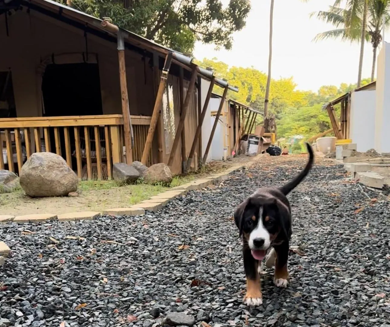 Jardin Al Bosque-Glamping Hotel San Juan Porto Rico
