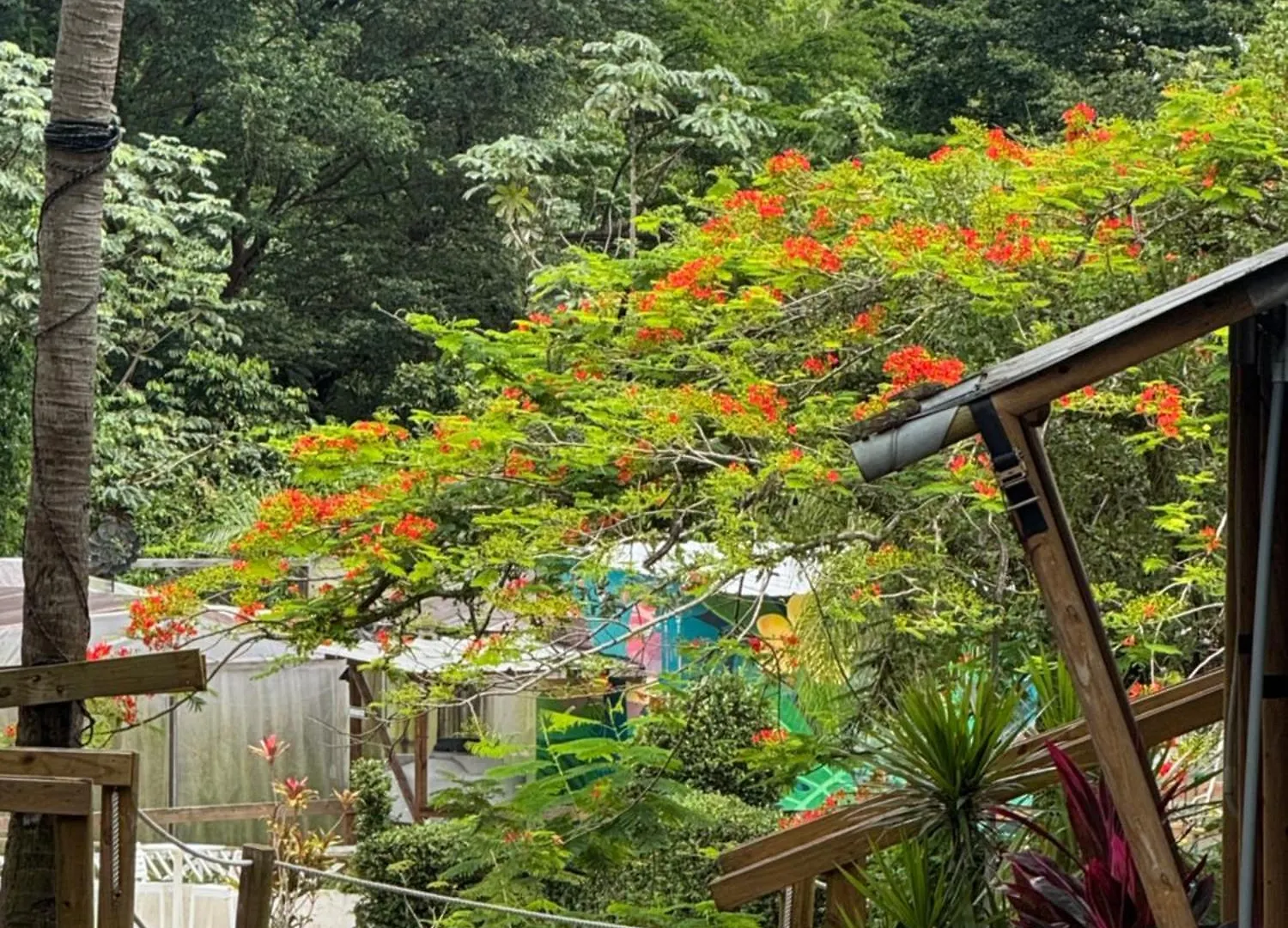 Jardin Al Bosque-Glamping Hotel San Juan Campismo de Luxo