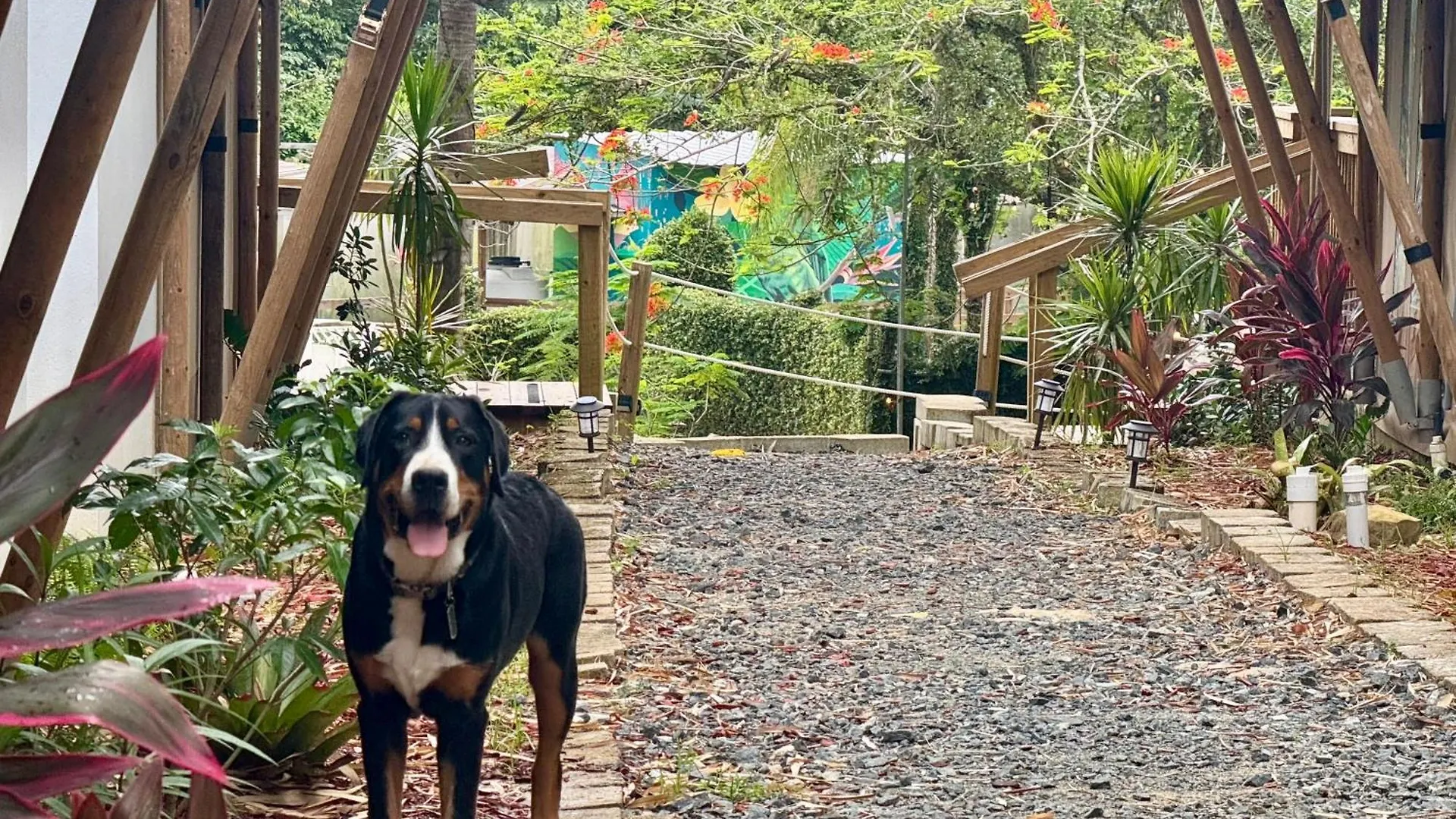 Jardin Al Bosque-Glamping Hotel San Juan Campismo de Luxo